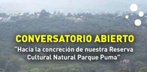 EN QUÉ MOMENTO DEL DEBATE SE LLEGA AL CONVERSATORIO PÚBLICO SOBRE LA RESERVA EL PUMA